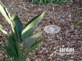 /album/galeria-de-fotos-jardinagem/a30-jpg/
