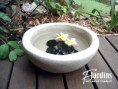 /album/galeria-de-fotos-jardinagem/a34-jpg/