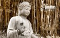 /album/galeria-de-fotos-jardinagem/a35-jpg/